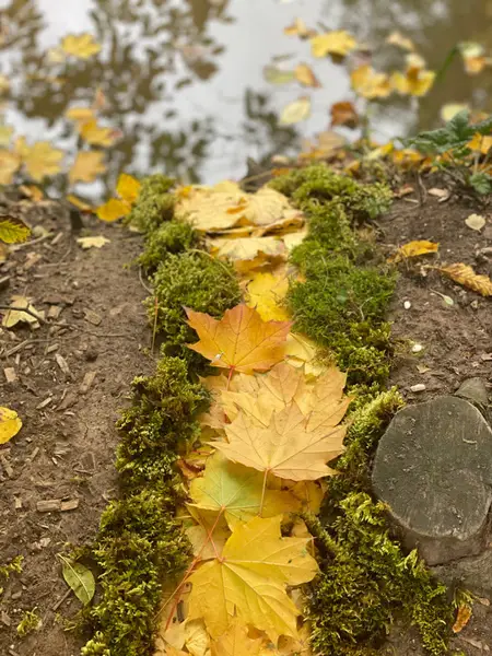 Land-Art - 5A & 5B