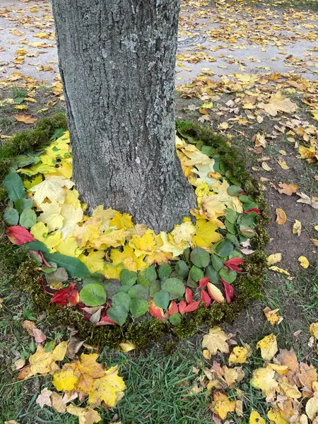 Land-Art - 5A & 5B