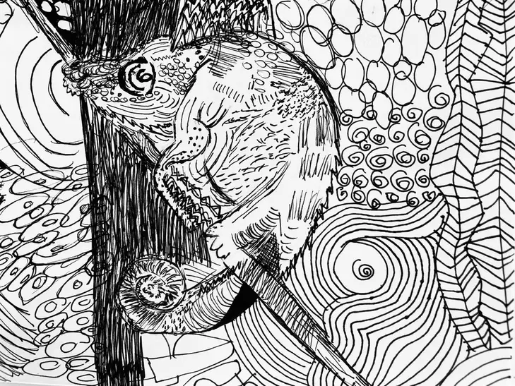 Strukturen und Muster